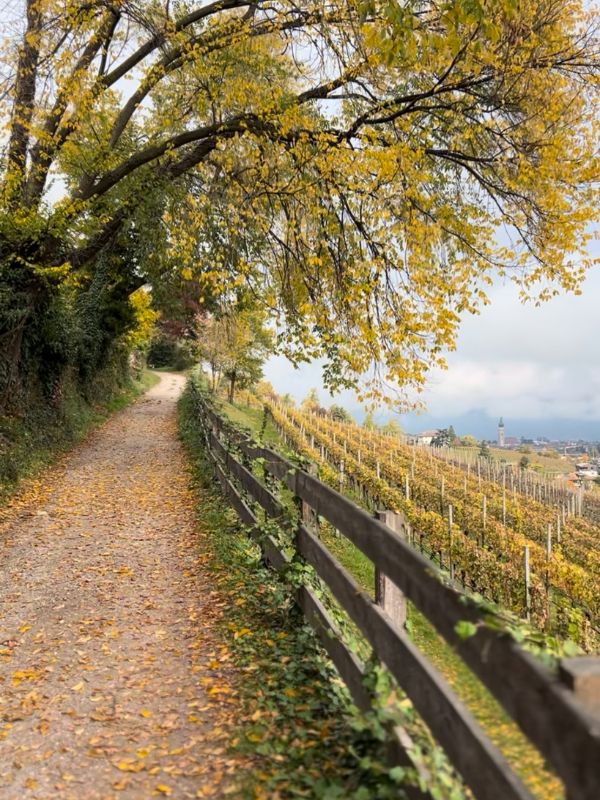 Die Gleifkirche in Eppan - Wanderung mit Kindern (13) Die Gleifkirche in Eppan - Wanderung mit Kindern