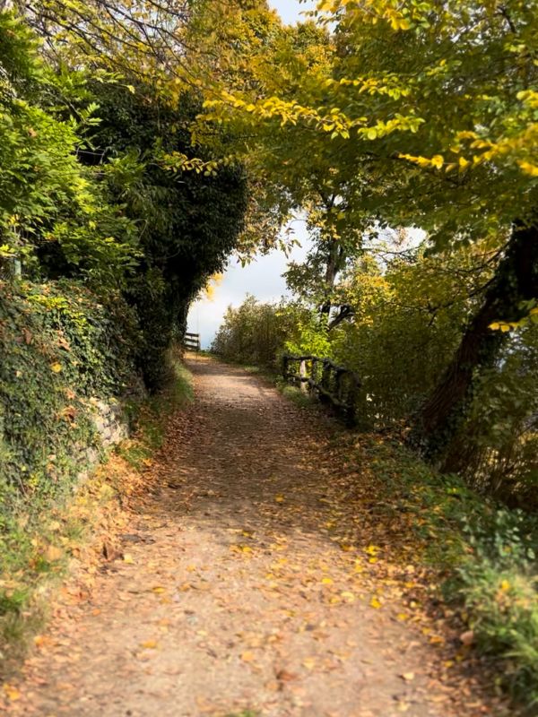 Die Gleifkirche in Eppan - Wanderung mit Kindern (14) Die Gleifkirche in Eppan - Wanderung mit Kindern