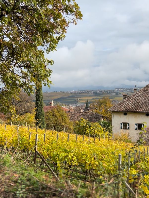 Die Gleifkirche in Eppan - Wanderung mit Kindern (15) Die Gleifkirche in Eppan - Wanderung mit Kindern