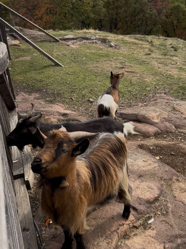 Die Gleifkirche in Eppan - Wanderung mit Kindern (2)