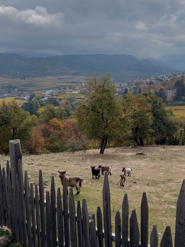 Die Gleifkirche in Eppan - Wanderung mit Kindern (3) Die Gleifkirche in Eppan - Wanderung mit Kindern