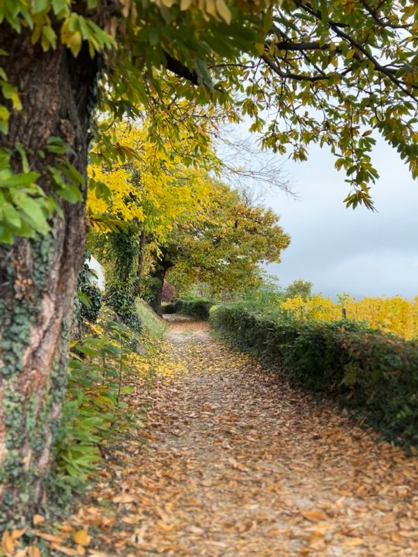 Die Gleifkirche in Eppan - Wanderung mit Kindern (8) Die Gleifkirche in Eppan - Wanderung mit Kindern