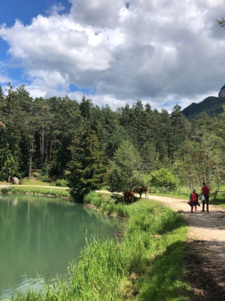 Leichte Wanderung mit Kindern in Südtirol