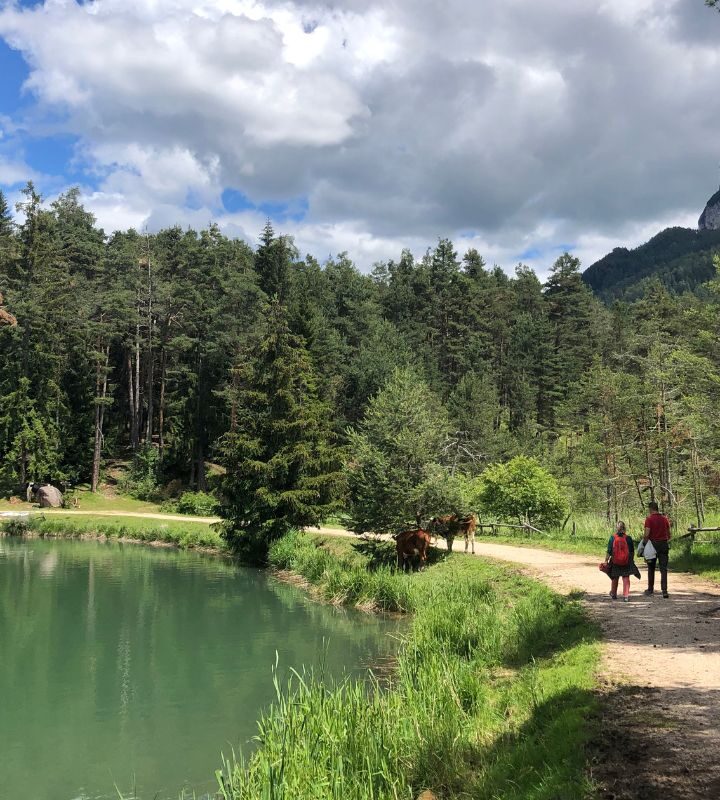 Leichte Wanderung mit Kindern in Südtirol