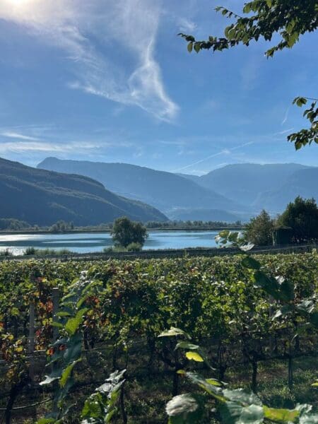 Kalterer See Wanderung