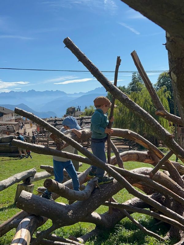 12 Tierwelt Rainguthof in Gfrill bei Meran_Streichelzoo für Kinder