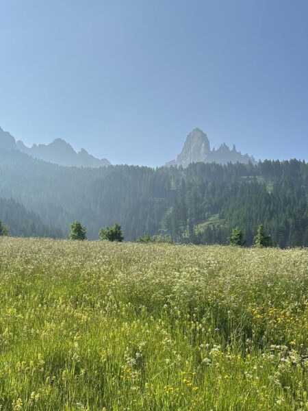 Almwiesen und DOlomiten - ein Traumpanorama bei der Wanderung zu Häusler Sam