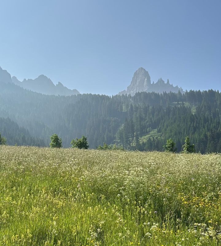 Almwiesen und DOlomiten - ein Traumpanorama bei der Wanderung zu Häusler Sam