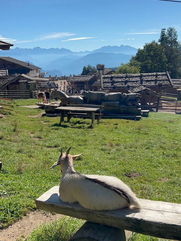 Tierwelt Rainguthof_Streichelzoo Gfrill bei Meran (1) Tierwelt Rainguthof in Gfrill bei Meran_Streichelzoo für Kinder