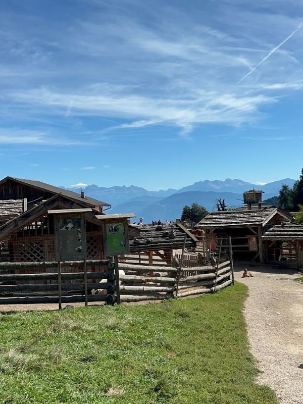 Tierwelt Rainguthof_Streichelzoo Gfrill bei Meran (2) Tierwelt Rainguthof in Gfrill bei Meran_Streichelzoo für Kinder