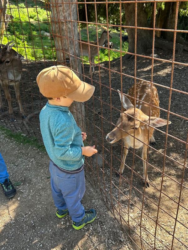 Tierwelt Rainguthof_Streichelzoo Gfrill bei Meran (7) Tierwelt Rainguthof in Gfrill bei Meran_Streichelzoo für Kinder