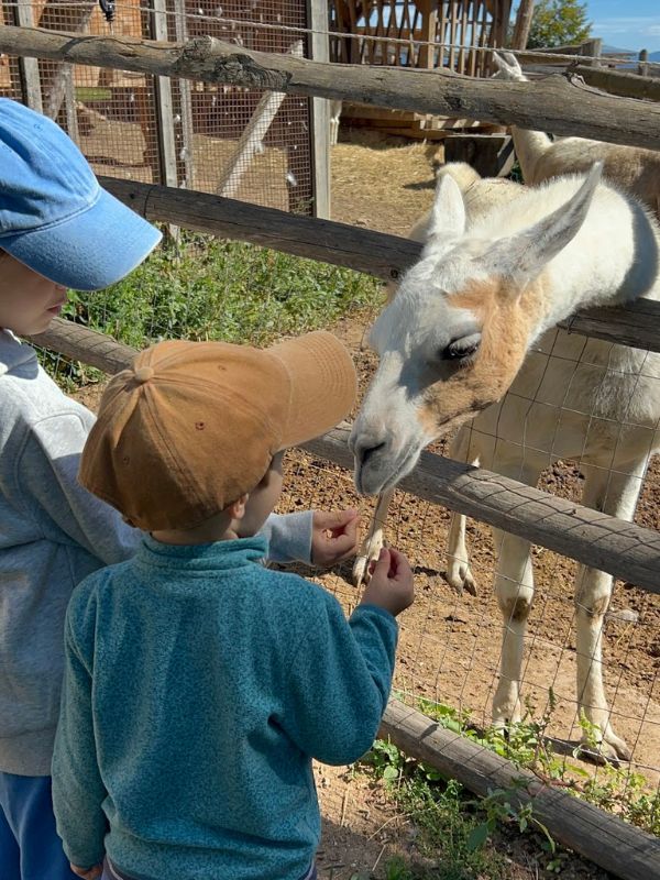 Tierwelt Rainguthof_Streichelzoo Gfrill bei Meran (9) Tierwelt Rainguthof in Gfrill bei Meran_Streichelzoo für Kinder