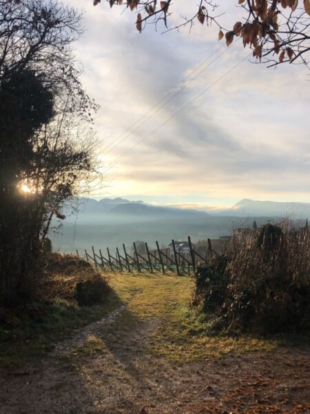 Kurze Wanderung zwischen Eppan und Kaltern mit idyllischem Picknickplatz