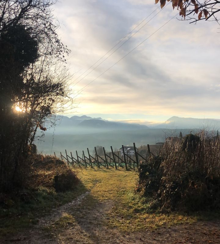 Kurze Wanderung zwischen Eppan und Kaltern mit idyllischem Picknickplatz