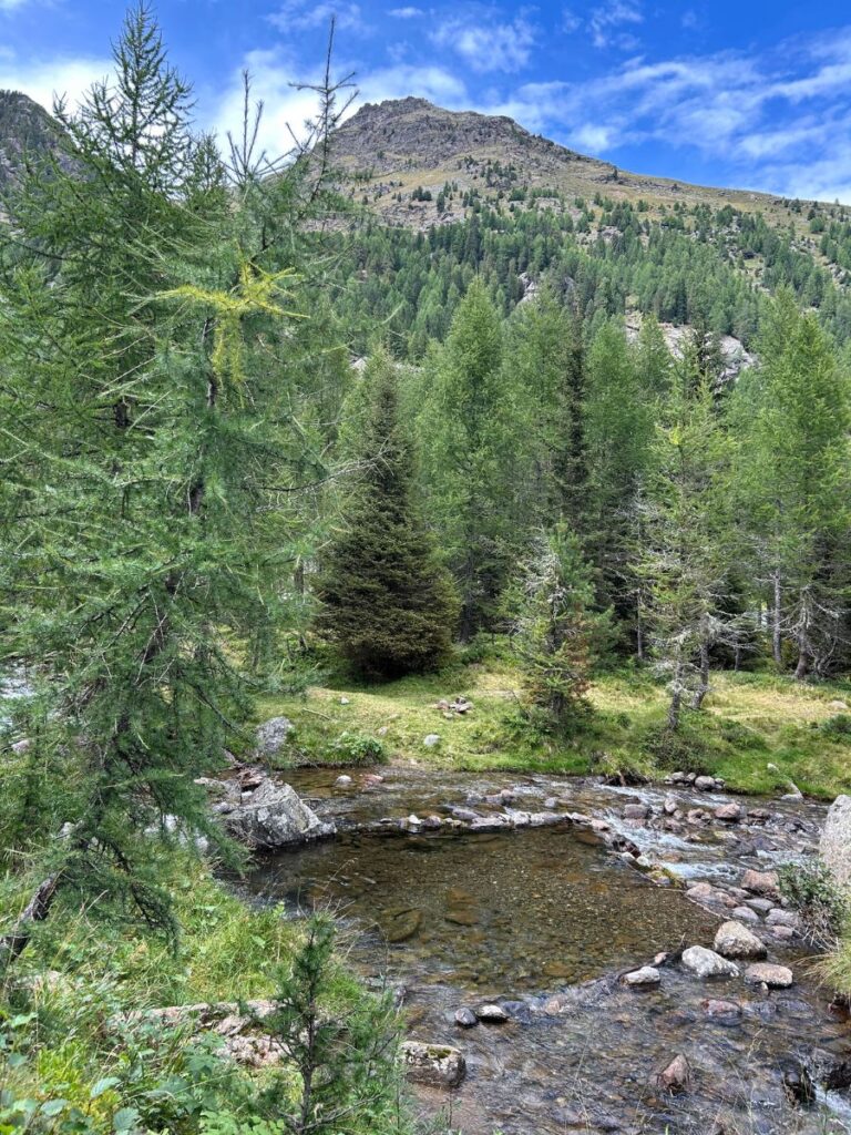 Wanderung um den Weißbrunnsee im Ultental - Wanderungen mit Kindern im Ultental
