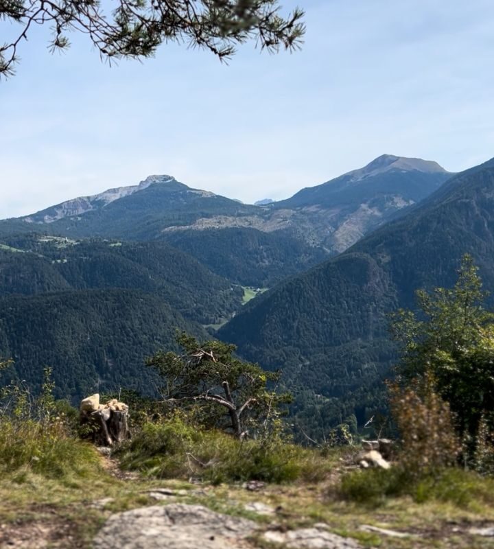Wanderung zur Cisloner Alm in Truden
