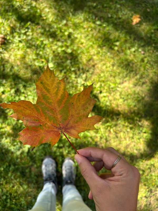 Geopfad in Teis - Erlebnisweg bei Villnöss mit Kindern (16)