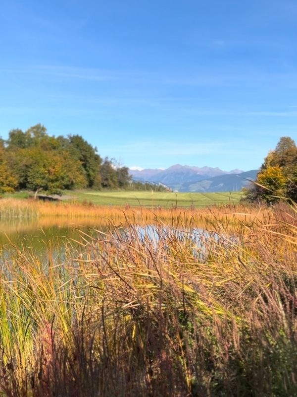 Mesner Lacke Teis_Wanderung (1) Mesner Lacke - Wanderung in Teis