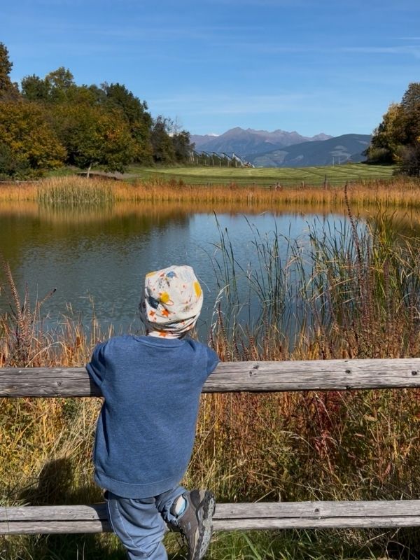 Mesner Lacke Teis_Wanderung (2) Mesner Lacke - Wanderung in Teis