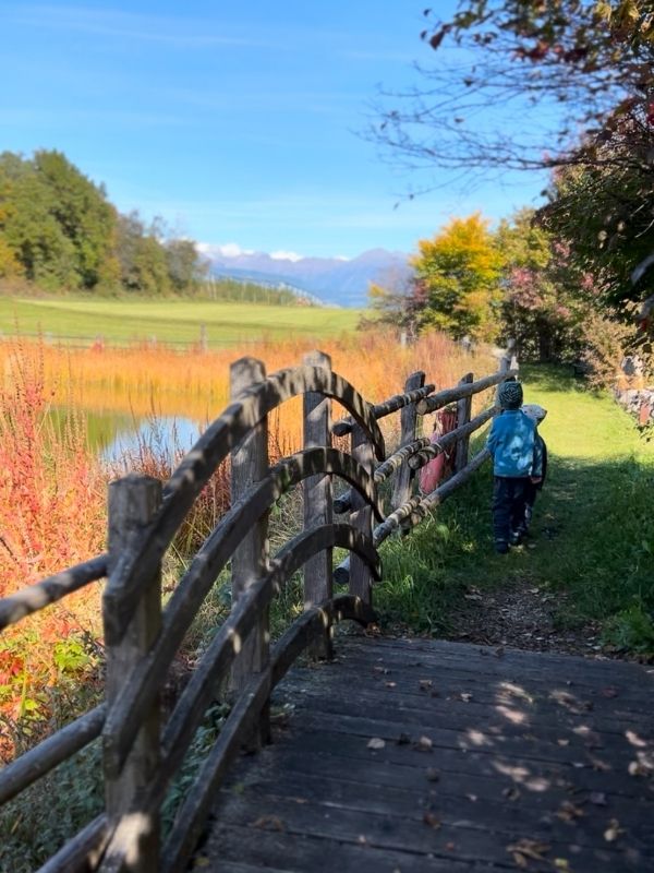 Mesner Lacke Teis_Wanderung (4) Mesner Lacke - Wanderung in Teis
