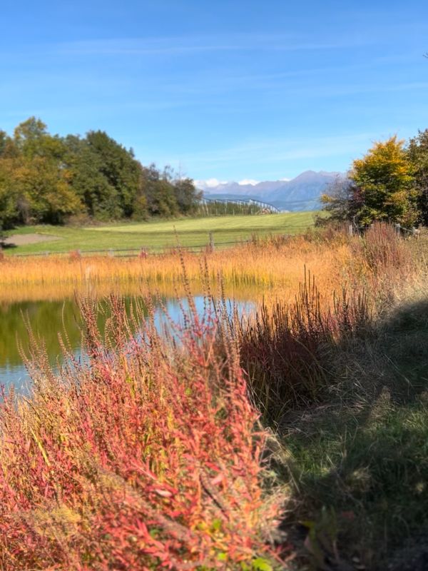 Mesner Lacke Teis_Wanderung (6) Mesner Lacke - Wanderung in Teis