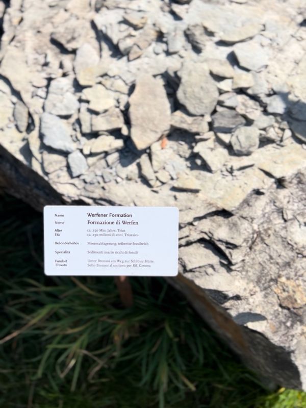 Mesner Lacke Teis_Wanderung (7) Mesner Lacke - Wanderung in Teis