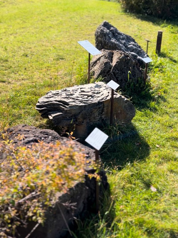 Mesner Lacke Teis_Wanderung (8) Mesner Lacke - Wanderung in Teis