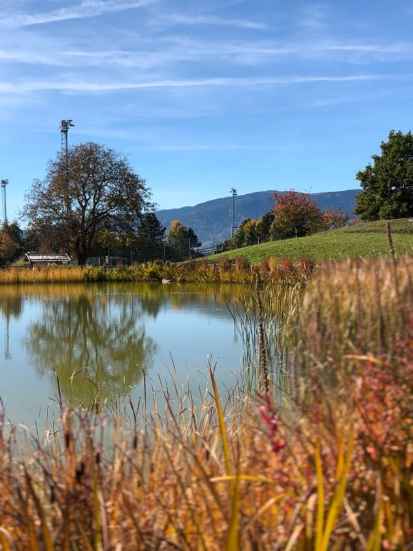 Mesner Lacke Teis_Wanderung (9) Mesner Lacke - Wanderung in Teis