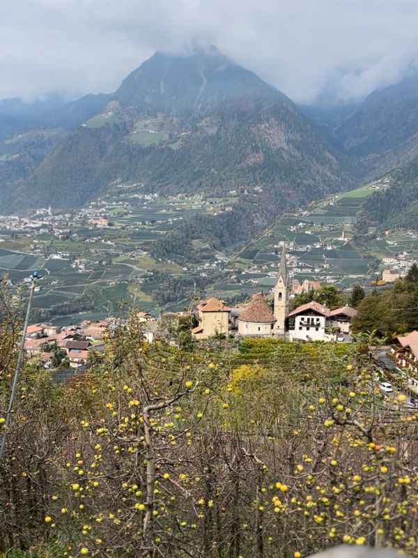 Waalweg Schenna - Schenner Waalweg - Wanderung mit Kindern bei Meran (1) Waalweg in Schenna