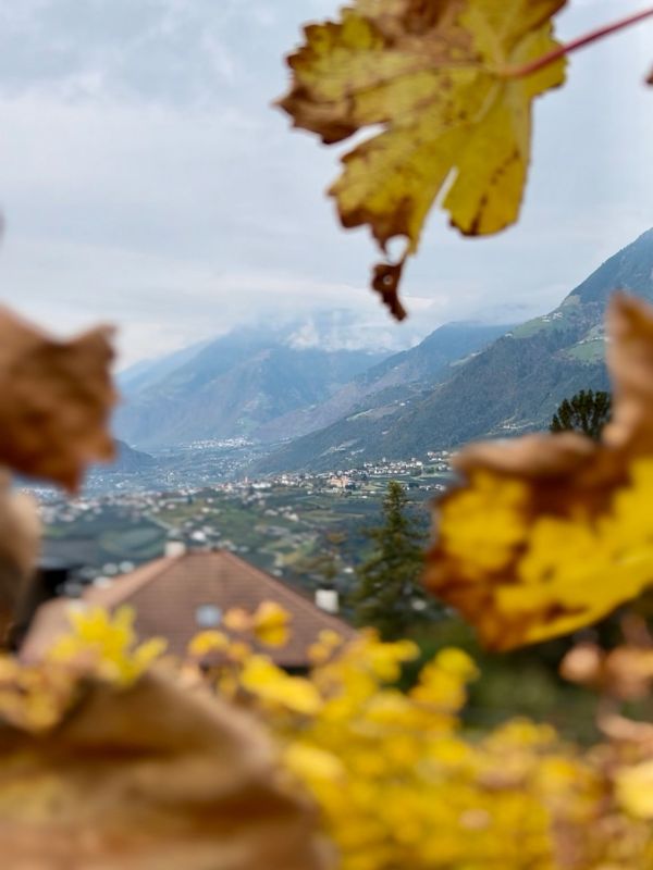 Waalweg Schenna - Schenner Waalweg - Wanderung mit Kindern bei Meran (10) Waalweg in Schenna