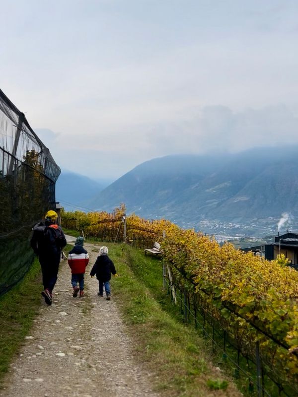 Waalweg Schenna - Schenner Waalweg - Wanderung mit Kindern bei Meran (11) Waalweg in Schenna