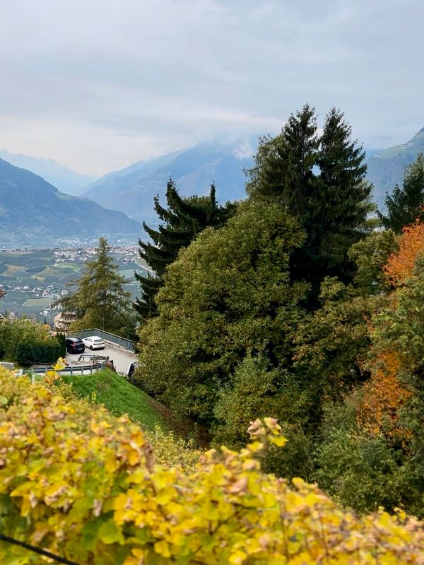 Waalweg Schenna - Schenner Waalweg - Wanderung mit Kindern bei Meran (12)
