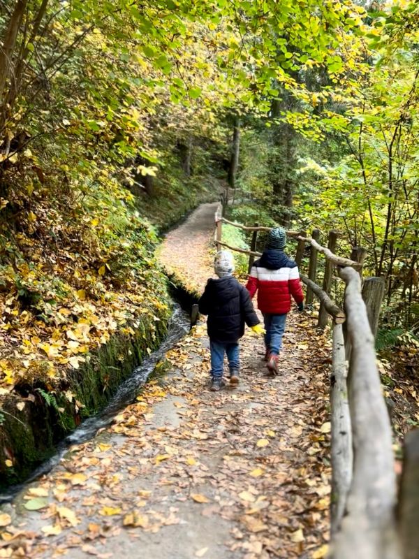Waalweg Schenna - Schenner Waalweg - Wanderung mit Kindern bei Meran (13) Waalweg in Schenna