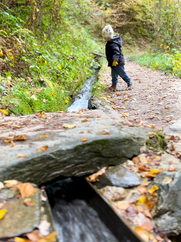 Waalweg Schenna - Schenner Waalweg - Wanderung mit Kindern bei Meran (14) Waalweg in Schenna