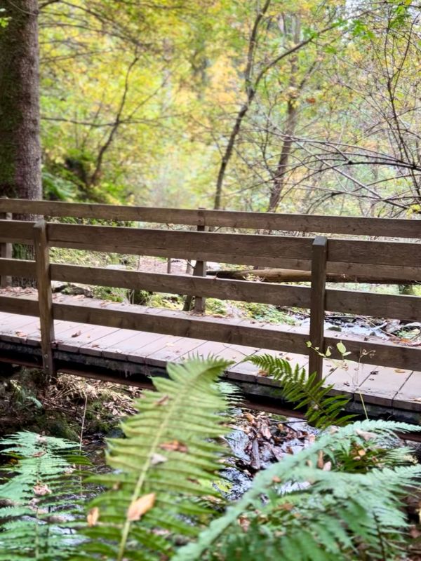 Waalweg Schenna - Schenner Waalweg - Wanderung mit Kindern bei Meran (15) Waalweg in Schenna