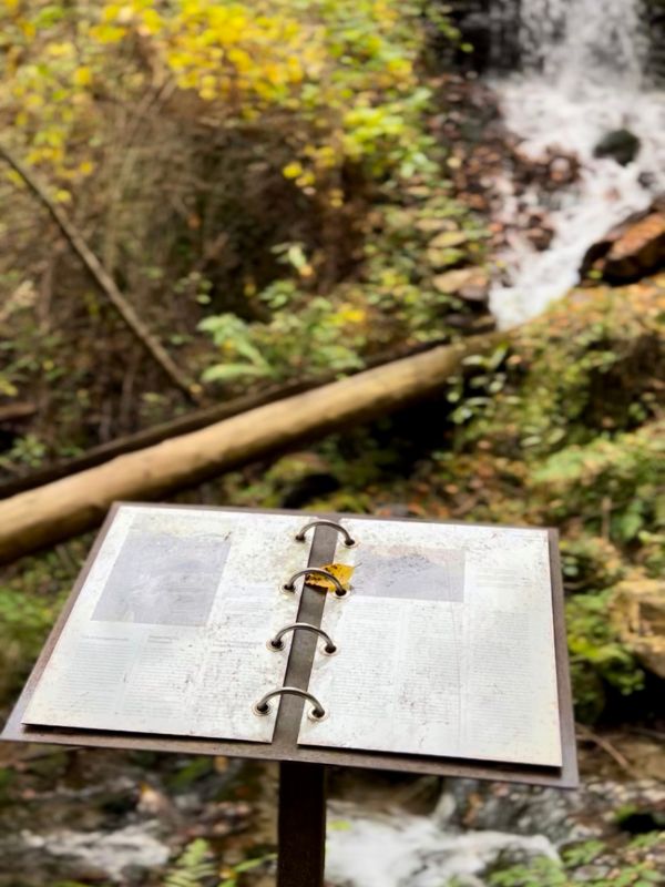 Waalweg Schenna - Schenner Waalweg - Wanderung mit Kindern bei Meran (16) Waalweg in Schenna