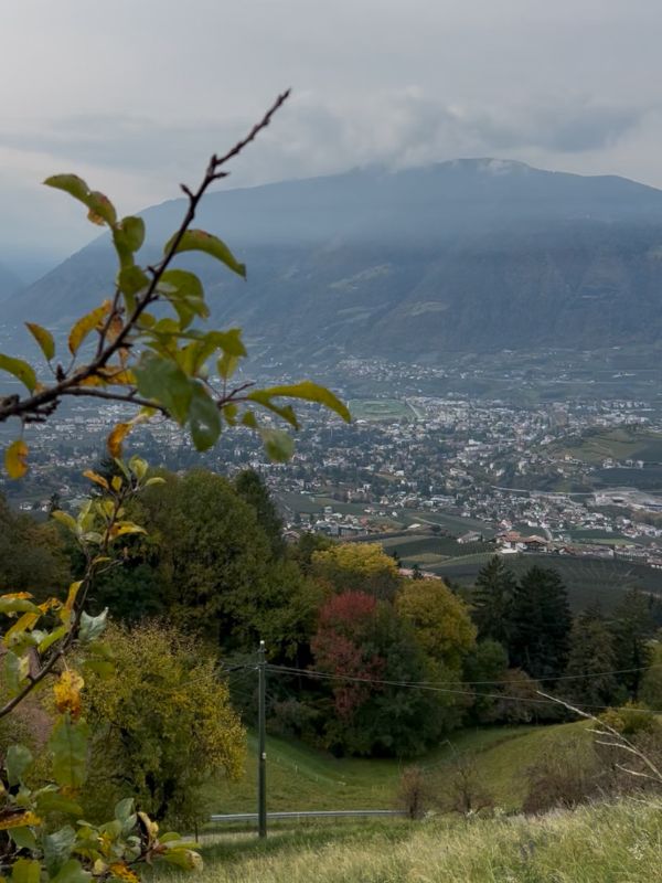 Waalweg Schenna - Schenner Waalweg - Wanderung mit Kindern bei Meran (2) Waalweg in Schenna