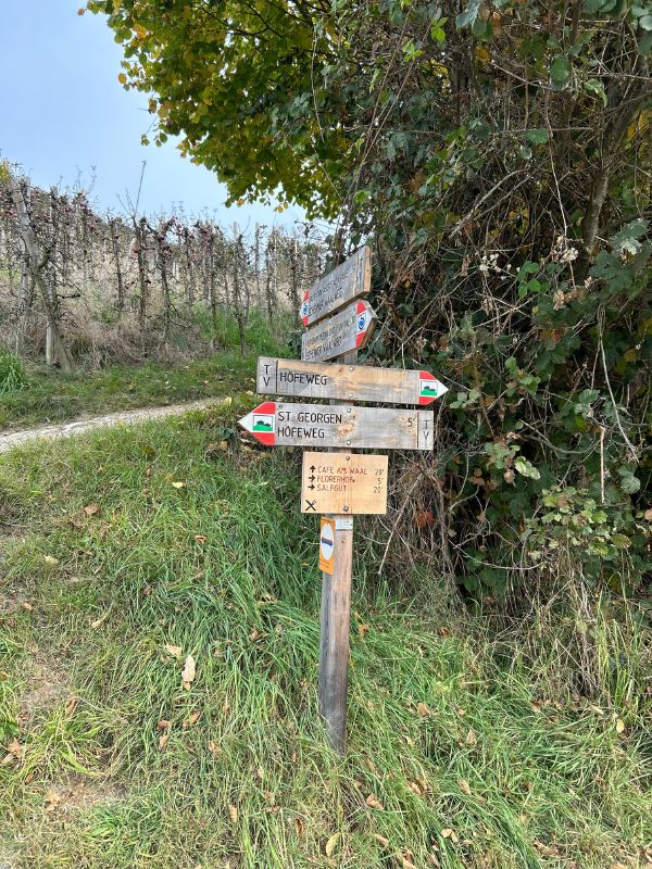 Waalweg Schenna - Schenner Waalweg - Wanderung mit Kindern bei Meran (20) Waalweg in Schenna - Rückweg über den Höfeweg