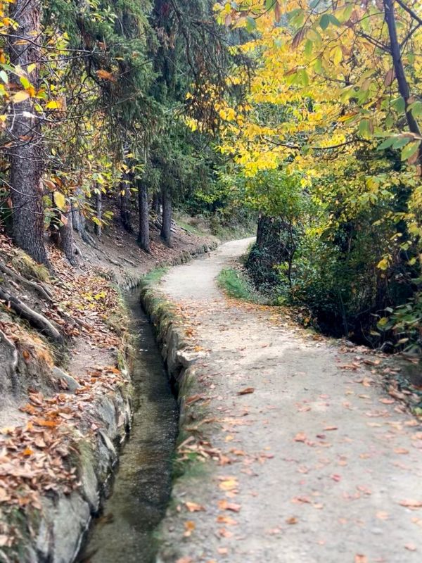 Waalweg Schenna - Schenner Waalweg - Wanderung mit Kindern bei Meran (3) Waalweg in Schenna