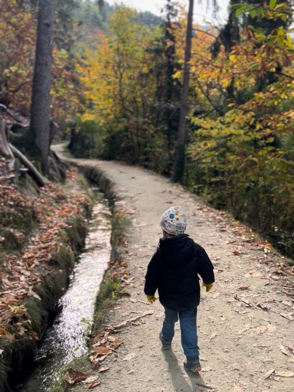 Waalweg Schenna - Schenner Waalweg - Wanderung mit Kindern bei Meran (4) Waalweg in Schenna