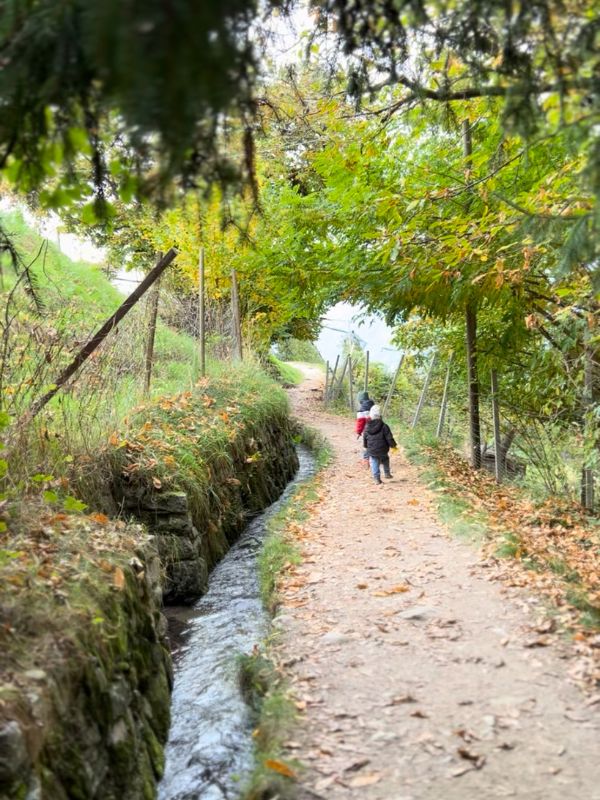 Waalweg Schenna - Schenner Waalweg - Wanderung mit Kindern bei Meran (6) Waalweg in Schenna