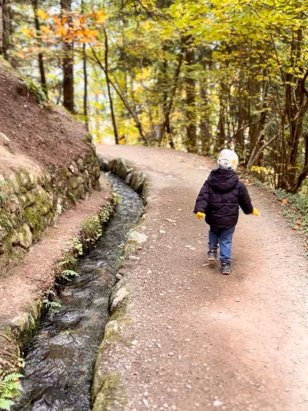 Waalweg Schenna - Schenner Waalweg - Wanderung mit Kindern bei Meran (9) Waalweg in Schenna