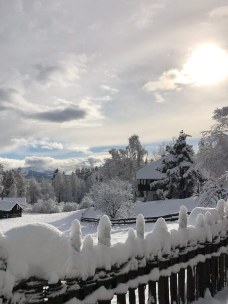 Die Sigmund Freud Promenade auf dem Ritten im Winter