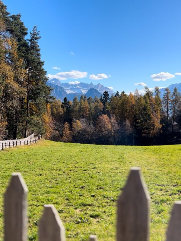 Sigmund Freud Promenade - Wanderung auf dem Ritten mit Kindern (10) Wanderung auf der Sigmund Freud Promenade auf dem Ritten im Herbst