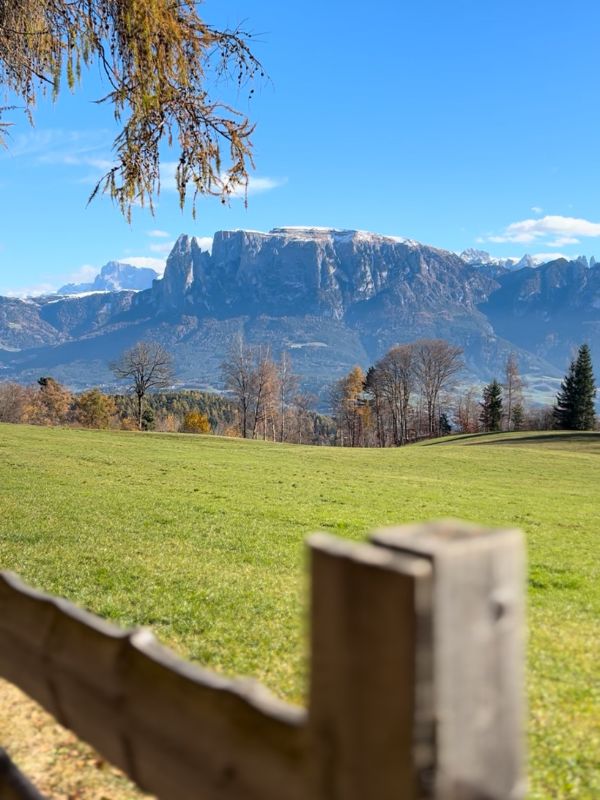 Sigmund Freud Promenade - Wanderung auf dem Ritten mit Kindern (11) Wanderung auf der Sigmund Freud Promenade auf dem Ritten im Herbst