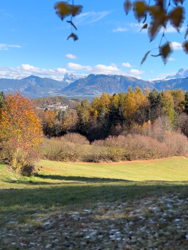 Sigmund Freud Promenade - Wanderung auf dem Ritten mit Kindern (12) Wanderung auf der Sigmund Freud Promenade auf dem Ritten im Herbst