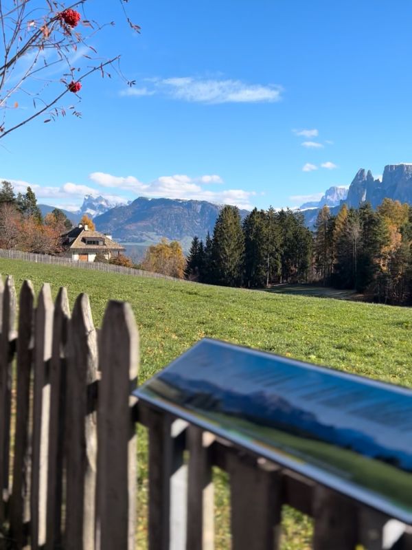 Sigmund Freud Promenade - Wanderung auf dem Ritten mit Kindern (13) Wanderung auf der Sigmund Freud Promenade auf dem Ritten im Herbst