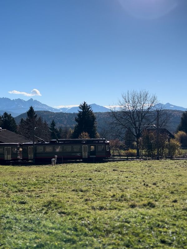 Sigmund Freud Promenade - Wanderung auf dem Ritten mit Kindern (15)