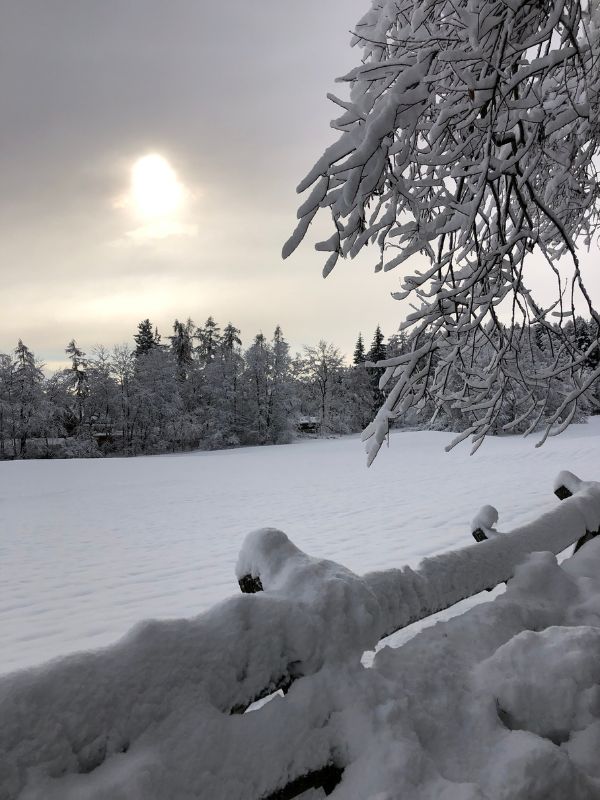 Sigmund Freud Promenade - Wanderung auf dem Ritten mit Kindern (3) Wanderung auf der Sigmund Freud Promenade auf dem Ritten im Winter