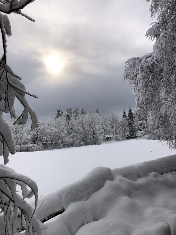 Sigmund Freud Promenade - Wanderung auf dem Ritten mit Kindern (5) Wanderung auf der Sigmund Freud Promenade auf dem Ritten im Winter